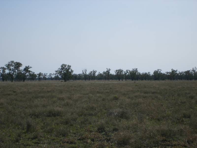 Lot 7,  Boomi Road, Goondiwindi QLD 4390