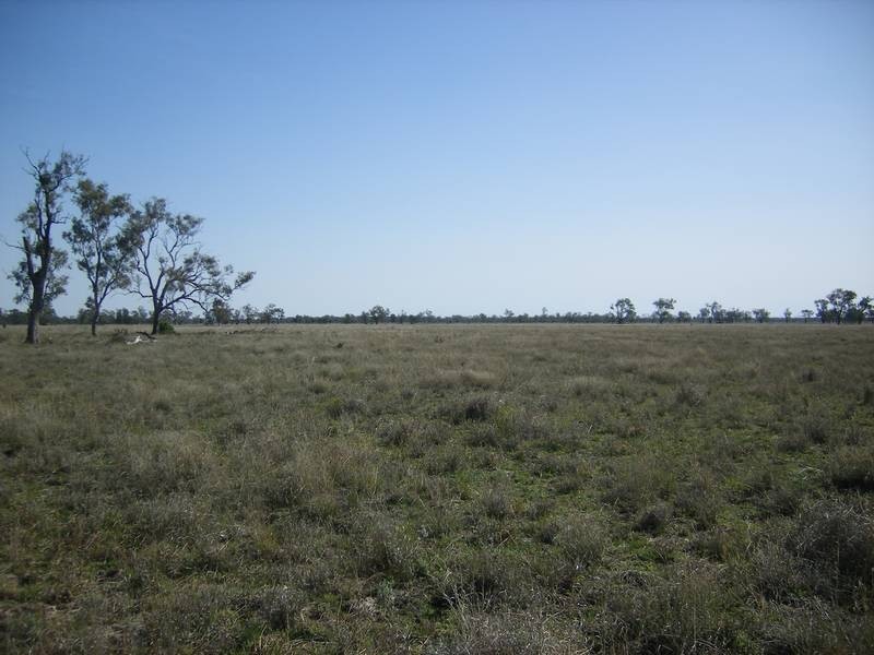 Lot 7,  Boomi Road, Goondiwindi QLD 4390