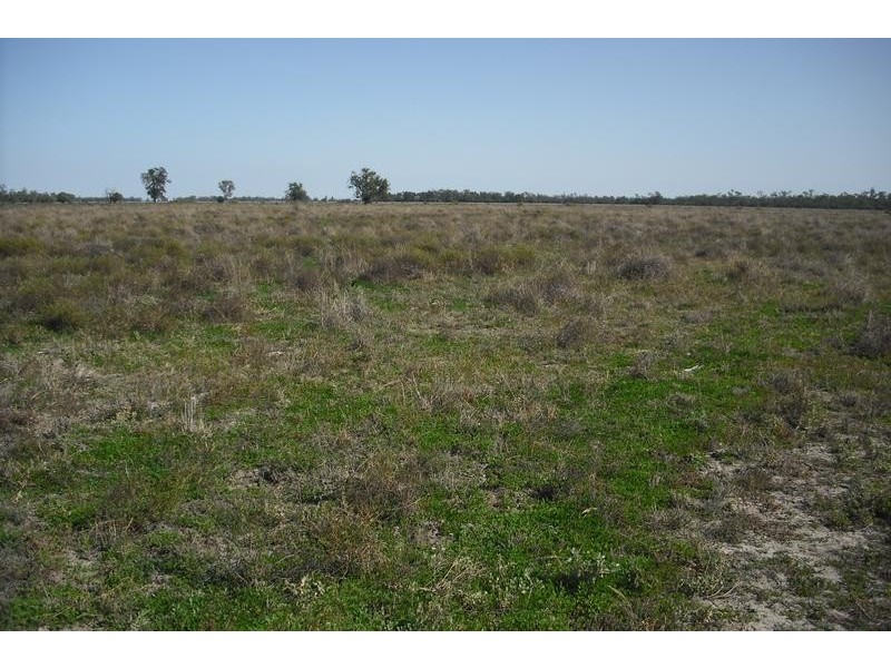 Lot 75,  Boomi Road, Goondiwindi QLD 4390