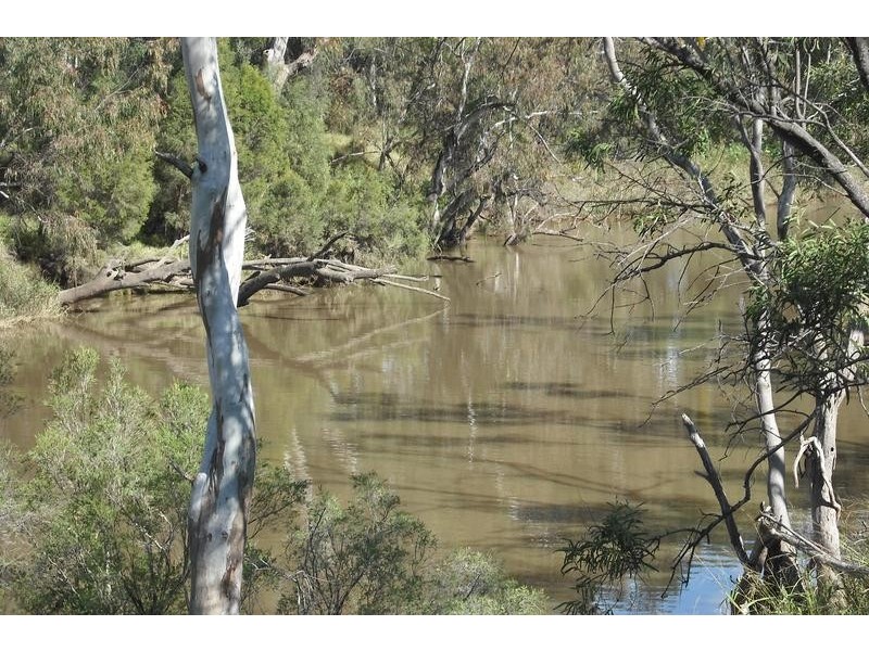 Raymond Terrace, Goondiwindi QLD 4390