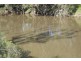 Raymond Terrace, Goondiwindi QLD 4390
