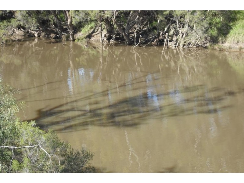 Raymond Terrace, Goondiwindi QLD 4390