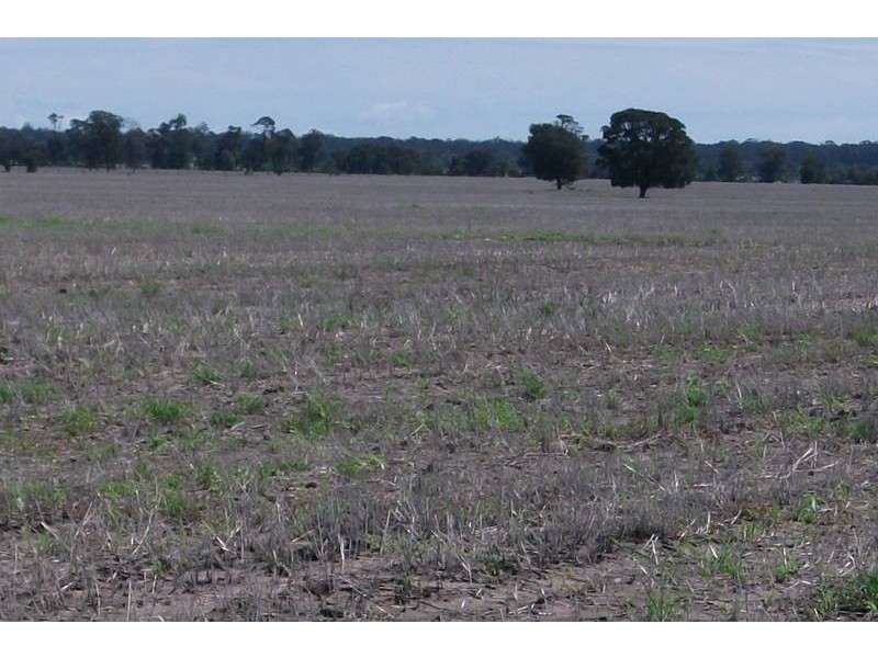 3260 Southwood Rd, Goondiwindi QLD 4390