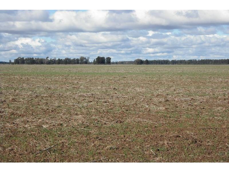 3260 Southwood Rd, Goondiwindi QLD 4390