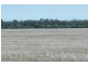 3260 Southwood Rd, Goondiwindi QLD 4390