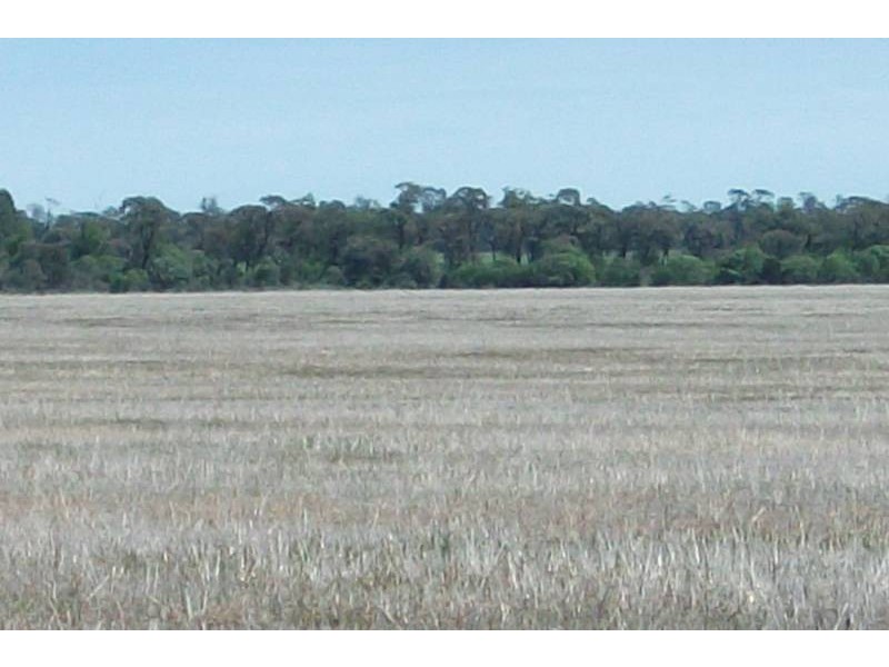3260 Southwood Rd, Goondiwindi QLD 4390