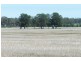 3260 Southwood Rd, Goondiwindi QLD 4390