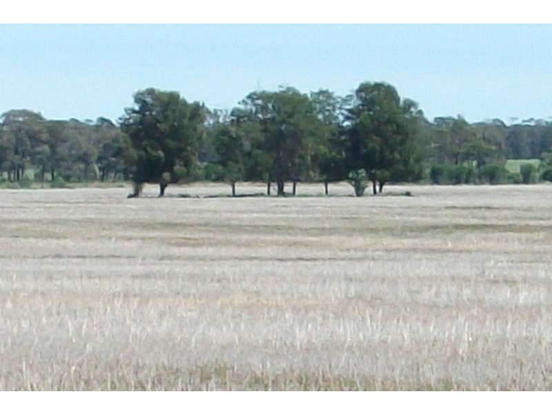 3260 Southwood Rd, Goondiwindi QLD 4390