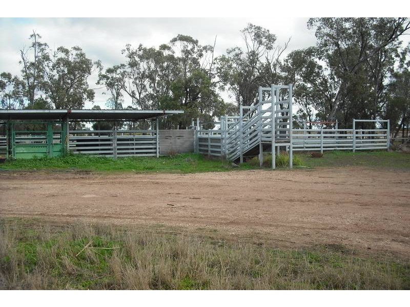 3260 Southwood Rd, Goondiwindi QLD 4390