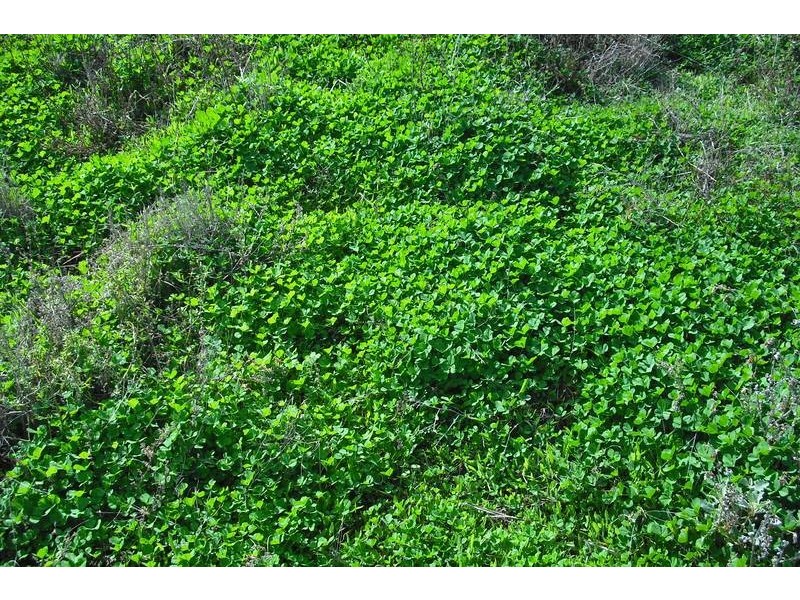 3260 Southwood Rd, Goondiwindi QLD 4390