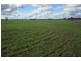 3260 Southwood Rd, Goondiwindi QLD 4390