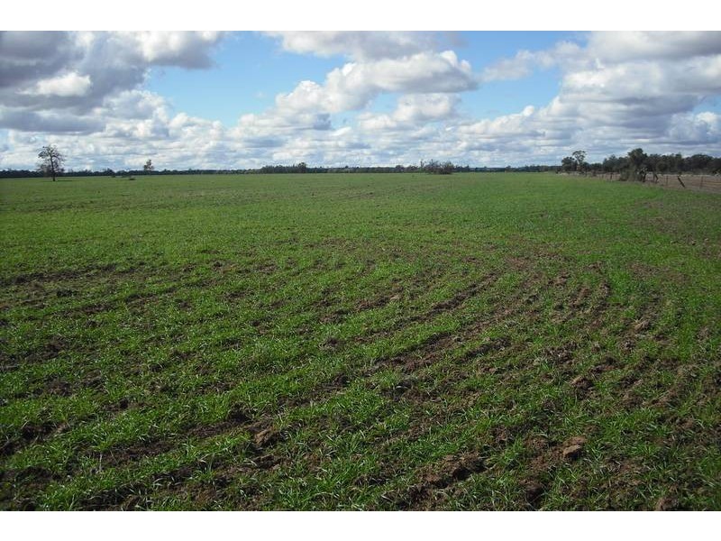 3260 Southwood Rd, Goondiwindi QLD 4390