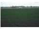 3260 Southwood Rd, Goondiwindi QLD 4390