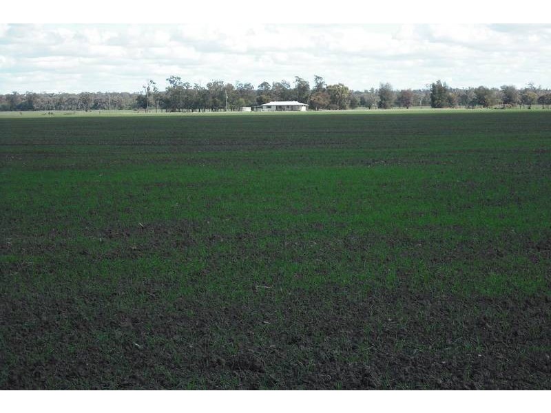 3260 Southwood Rd, Goondiwindi QLD 4390