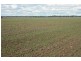 3260 Southwood Rd, Goondiwindi QLD 4390