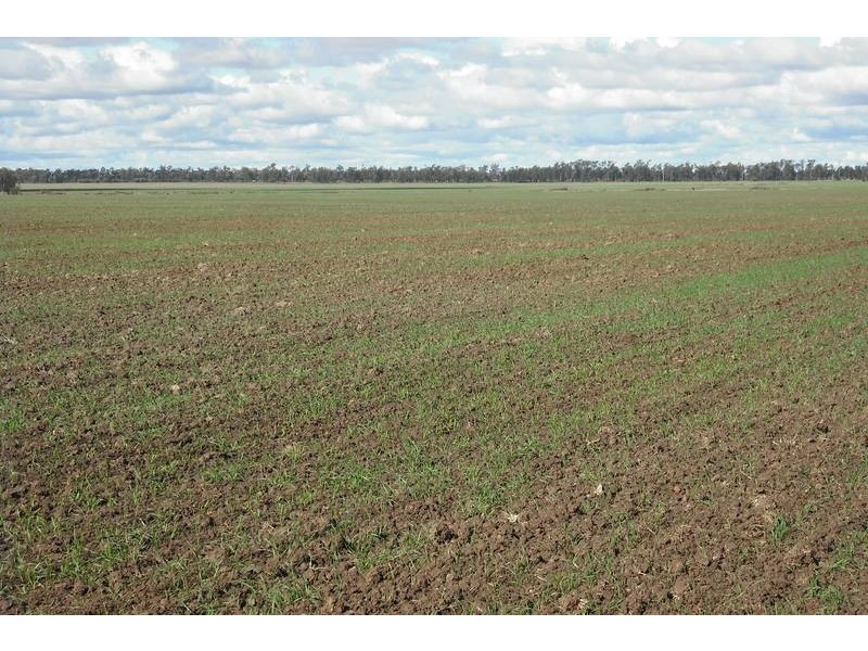3260 Southwood Rd, Goondiwindi QLD 4390