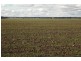 3260 Southwood Rd, Goondiwindi QLD 4390