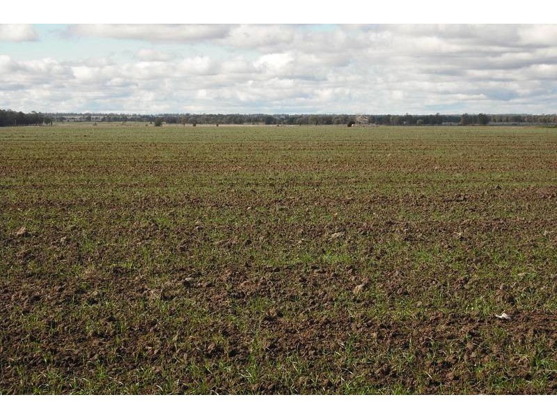 3260 Southwood Rd, Goondiwindi QLD 4390