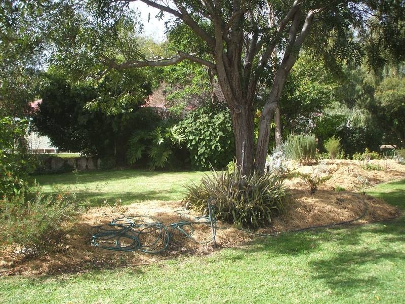 Goondiwindi QLD 4390