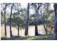 62 Macintyre, Goondiwindi QLD 4390
