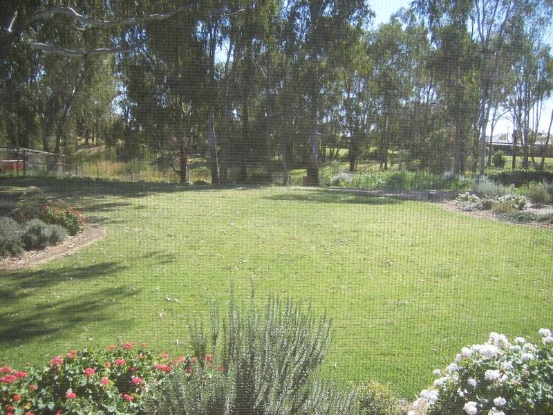 Goondiwindi QLD 4390