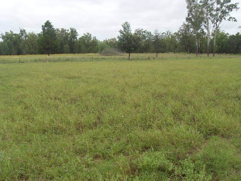53 Glenarbon church rd, Texas QLD 4385