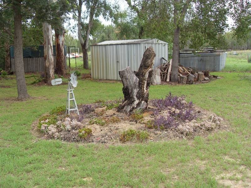 53 Glenarbon church rd, Texas QLD 4385