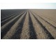 * NEWELL HWY, Goondiwindi QLD 4390