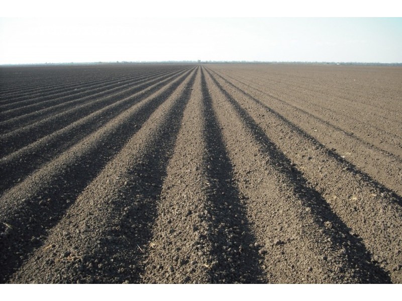 * NEWELL HWY, Goondiwindi QLD 4390