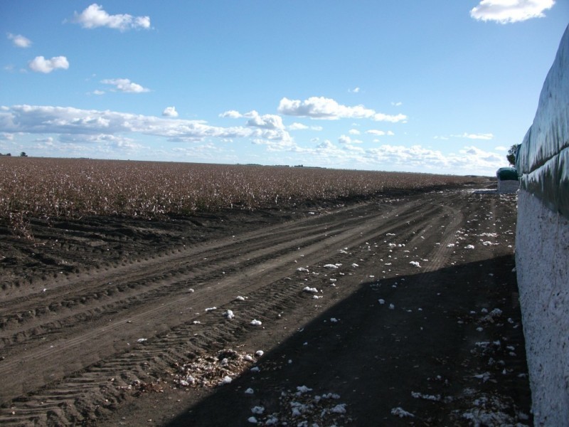 * NEWELL HWY, Goondiwindi QLD 4390