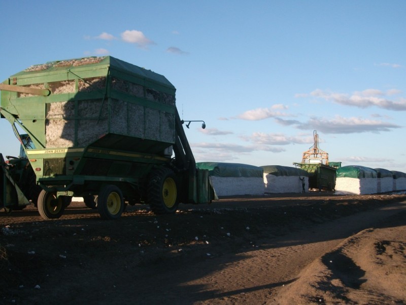 * NEWELL HWY, Goondiwindi QLD 4390