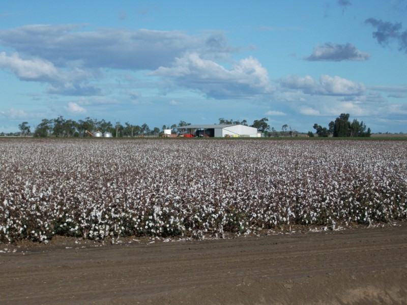 * NEWELL HWY, Goondiwindi QLD 4390