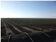 * NEWELL HWY, Goondiwindi QLD 4390