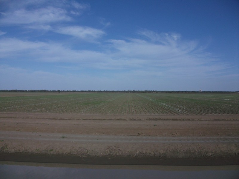* NEWELL HWY, Goondiwindi QLD 4390