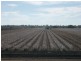* NEWELL HWY, Goondiwindi QLD 4390