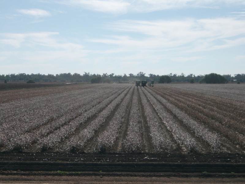 * NEWELL HWY, Goondiwindi QLD 4390