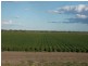 * NEWELL HWY, Goondiwindi QLD 4390
