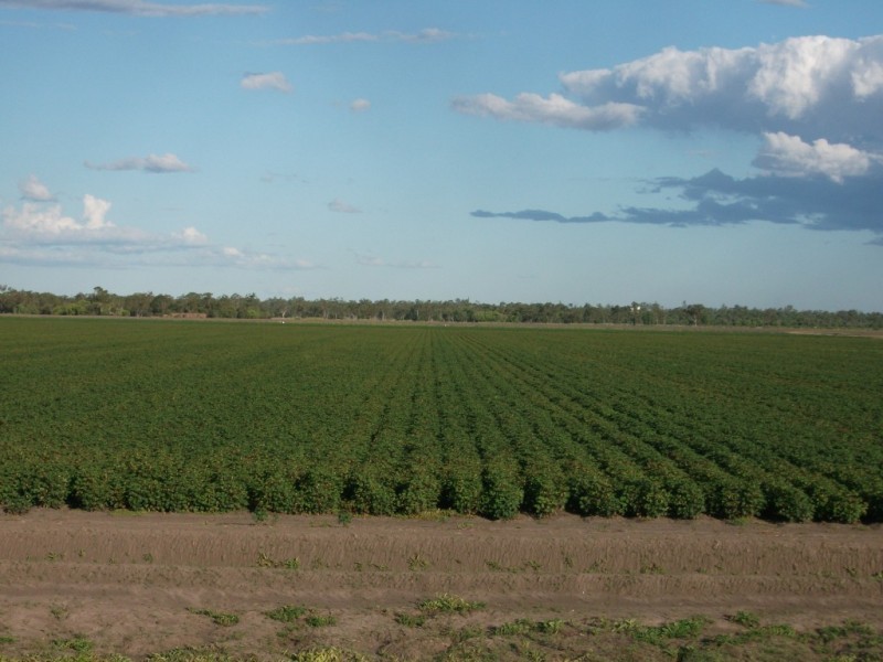 * NEWELL HWY, Goondiwindi QLD 4390