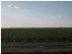 * NEWELL HWY, Goondiwindi QLD 4390