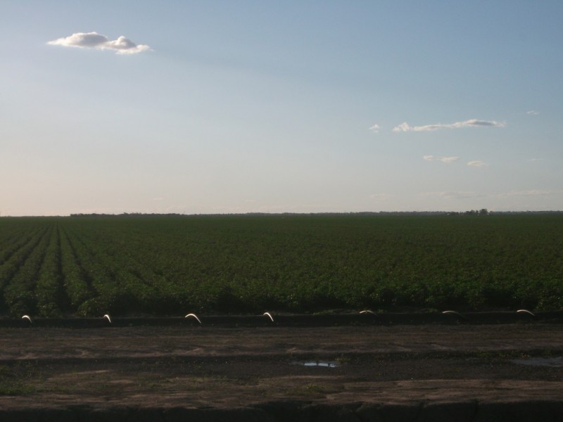 * NEWELL HWY, Goondiwindi QLD 4390