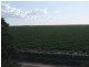 * NEWELL HWY, Goondiwindi QLD 4390