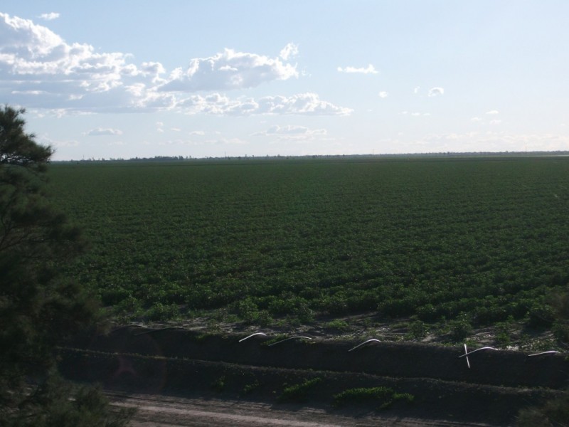 * NEWELL HWY, Goondiwindi QLD 4390