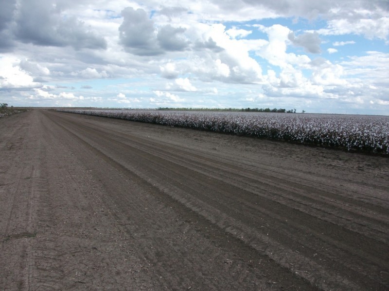 * NEWELL HWY, Goondiwindi QLD 4390