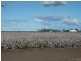 * NEWELL HWY, Goondiwindi QLD 4390