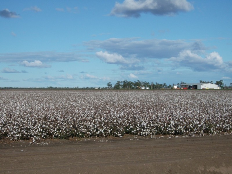 * NEWELL HWY, Goondiwindi QLD 4390