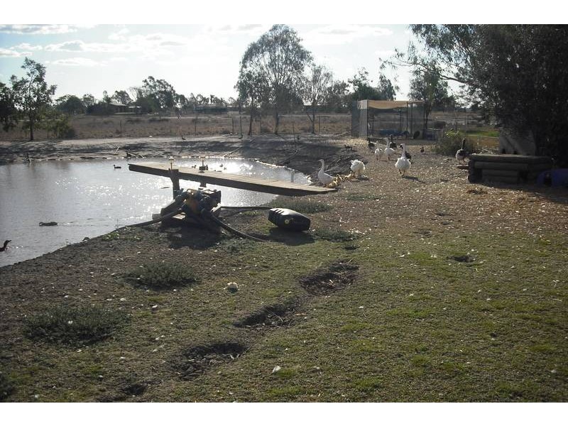 10 Hensler Rd, Goondiwindi QLD 4390