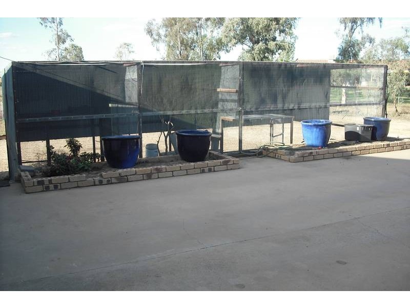10 Hensler Rd, Goondiwindi QLD 4390