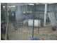 10 Hensler Rd, Goondiwindi QLD 4390