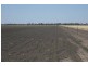 * Sterling Rd, Goondiwindi QLD 4390