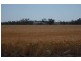 * Sterling Rd, Goondiwindi QLD 4390